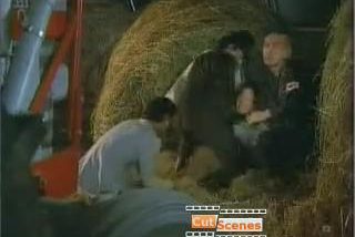 Asian gang raped on barn