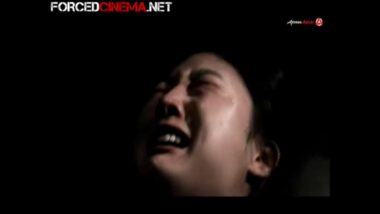 Han Ga Young, Moon Shi Ho, Son Ji Young forced sex slavery, The Last Comfort Women (2014)